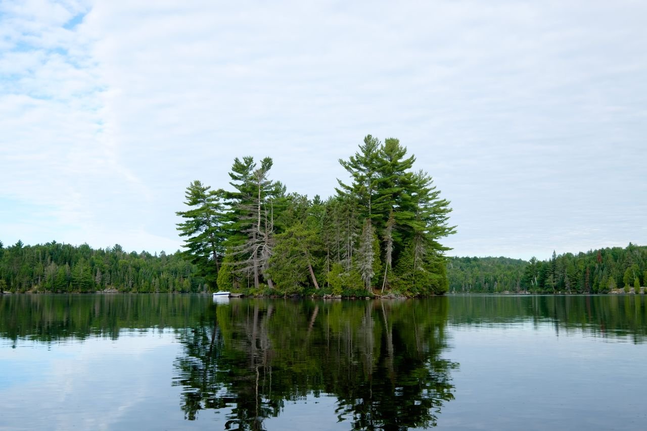 Home Tranquil forested island on a calm lake surrounded by lush greenery and reflecting water.