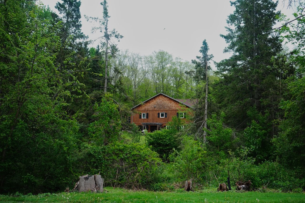 Crafting Captivating Headlines: Your awesome post title goes here Charming treehouse nestled in lush Ontario forest, perfect nature escape.